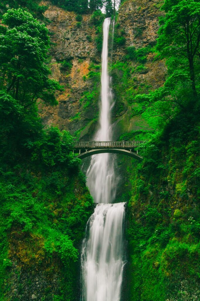 Tall waterfall and bridge in green forest